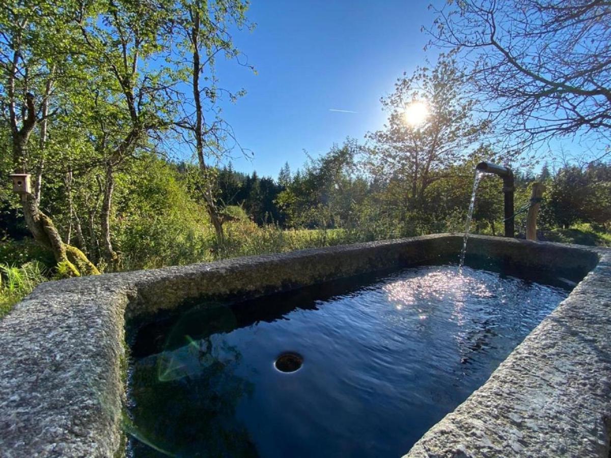 Ferienhaus Klause Neureichenau Εξωτερικό φωτογραφία
