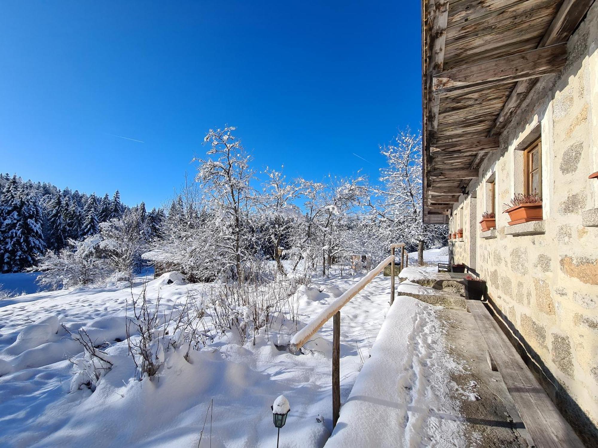 Ferienhaus Klause Neureichenau Εξωτερικό φωτογραφία
